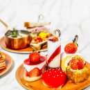 티리조트2 이미지