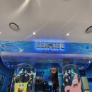 코엑스아쿠아리움 | [강남] 코엑스 아쿠아리움 데이트 후기 (생각보다 더 예쁨) 카드는 와이프 거