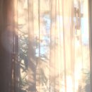 샐리네 살롱 이미지