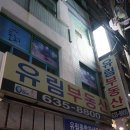 뷰티더그레이스