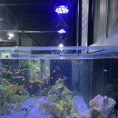 단짠아쿠아 삼천점 이미지