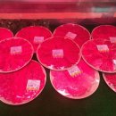 양정목장 이미지