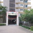 비산청과 이미지