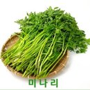 미나리 쇼핑하우