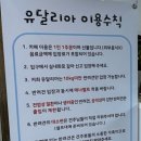 유달리아(yudalria) 이미지