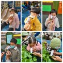 보라어린이집(실내) 이미지