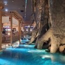 오로라스파&휘트니스 이미지