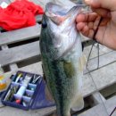 반곡2리 이미지