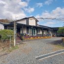 비취 블루베리 이미지