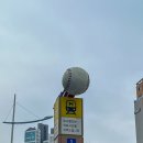 [일상] 부산사직야구장 원정 응원기 / 중앙상단석 후기 / 푸드매장 큐알 주문 방법
