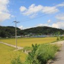 신사리 선돌 티스토리