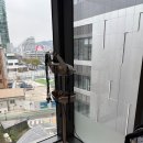 천호역 미용실 고민 중이라면, 레오드헤어 첫 방문 솔직 후기!
