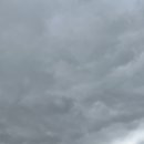 남양산카센타 | 월요일에서 수요일까지