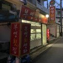 [창원 맛집] 상남동 현지인 노포 횟집, 모둠 회 맛집 추천 부영횟집