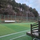 잿골체육공원 이미지