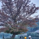 강원특별자치도 화천군 관광안내소(터미널) | 강원도 화천 가볼만한곳 화천 공영버스터미널 정보