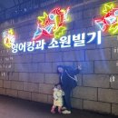 떼떼상점 | 청계천 잉어킹 빛초롱축제, 평일 저녁에 다녀온 솔직 후기