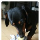 청아농장 이미지