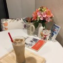 캣카페낭만고양이