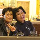 봄날cafe Daum카페