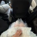 모노페이퍼 웨딩촬영 후기, 원본 수령했어요! (애견동반하길 잘했다)