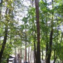 불바라기팬션 이미지