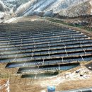 세정태양광발전소 이미지