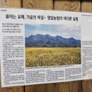 기찬영암식품