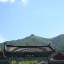 산청 동의보감촌 이미지