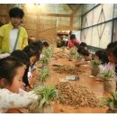 계림초등학교 병설유치원 이미지