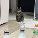 영우리경로당 | cherry blossom viewing