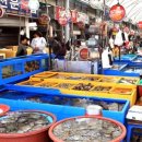 기계주단 이미지