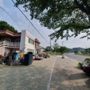 도담칼국수 이미지