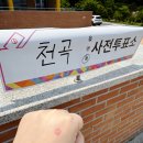 동해시청소년센터 | 동해시 천곡동 사전투표 장소 청소년센터