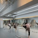 발레메이트 클레식 발레와 발레핏