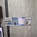 카이저 동물병원 | 강아지 슬개골탈구 수술 후기 양측 수술 후 3개월 경과 기록 — 카이저동물치과병원