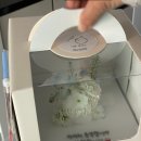 라보떼플라워케이크 이미지