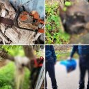 행정말농장 이미지