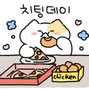 팀스톤짐 이미지