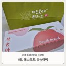 삐갈레 | 포항 효자동 선물하기 좋은 삐갈레브레드 복숭아빵 후기