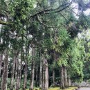 토토로마을 이미지