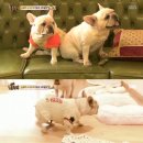 고부농장 이미지