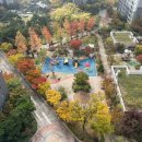 오성태권도 | [평택고덕아파트전세] 평택고덕아파트전세/제일풍경채/평택고덕국제신도시파라곤/힐스테이트고덕스카이...