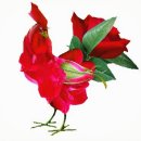 놀이터펜션 이미지