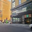 별이 그린 호수 | 창원 상남동 베이커리 카페 추천｜교보문고 맞은편 ‘그린하우스’ 첫 방문 솔직 후기