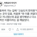 고슴도치한의원 이미지