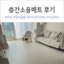 언더24 | 33개월 아기 키우며 결국 시공한 층간소음매트, 아이언더매트 솔직후기