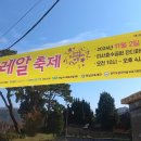 광주향교 | [하남여행] 가을명소, 은행나무명소 <광주향교> 방문 후기! (+ 명륜당 공사중 관람제한)