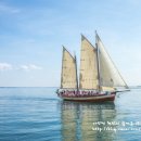 나팔꽃한의원 이미지