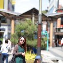 맘모스찜닭 이미지